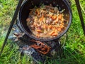 pilaf in a cauldron on an open fire in the daytime in summer. Royalty Free Stock Photo