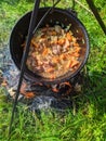 pilaf in a cauldron on an open fire in the daytime in summer. Royalty Free Stock Photo