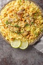 Pilaf Kacchi Biryani Bangladeshi Bast Food closeup on the plate. Vertical top view Royalty Free Stock Photo