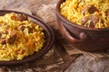 Pilaf with meat and vegetables closeup horizontal Royalty Free Stock Photo