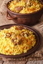 Pilaf with meat and vegetables closeup vertical Royalty Free Stock Photo