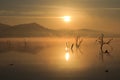 Pilanesberg Sunrise