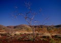 The Pilbara region of Western Australia Royalty Free Stock Photo