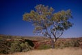 The Pilbara region in Western Australia Royalty Free Stock Photo