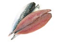 Pilchard Fillet - Fish Fillet