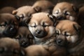 A pile of adorable Akita puppies cuddled together, perfect for showcasing the breed\'s charm. Generative Ai