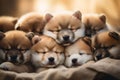 A pile of adorable Akita puppies cuddled together, perfect for showcasing the breed\'s charm. Generative Ai