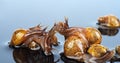 Pile of African snails Achatina imaculata lamarckiana on gray background