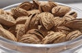 A pile of almonds in a plate close-up. Salted fresh nuts in the shell in a glass container. The texture of the almonds. Royalty Free Stock Photo