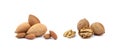 Pile of almonds and walnuts Royalty Free Stock Photo