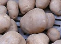 Amey Russet Potatoes at Farmer`s market Royalty Free Stock Photo