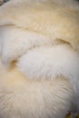 Pile of Animal skins with white fur Royalty Free Stock Photo