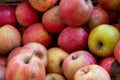 Pile of apples with some of them being green Royalty Free Stock Photo
