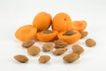Pile of apricots and apricot seeds isolated on bright background.