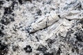 Pile of ashes after the fire went out grunge background texture Royalty Free Stock Photo