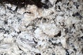 Pile of ashes after the fire went out grunge background texture Royalty Free Stock Photo