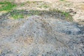 The pile of ashes. Royalty Free Stock Photo