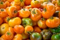 Pile of Assorted Heirloom Tomatoes Royalty Free Stock Photo