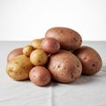 Potatoes showcasing different sizes and colors including red Royalty Free Stock Photo