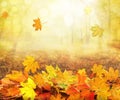 pile of autumn and falling leaves, background