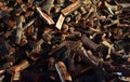 A pile of axed firewood pieces ready for winter Royalty Free Stock Photo