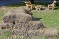 A Pile Of Bales Of Gray Dry Hay On Green Grass In A Park