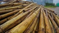 Pile of bamboo laying over each other Royalty Free Stock Photo