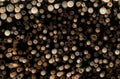 Pile of bamboo pole. Stack of round timber logs. Large batch of wooden logs for industrial scale or manufacturing. Warehouse Royalty Free Stock Photo