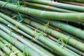 Pile of bamboo trees close up view Royalty Free Stock Photo