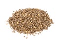 Pile of barnyard millet seeds closeup on white