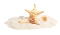 Pile of beach  with beautiful starfish and sea shells on white background Royalty Free Stock Photo