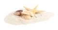 Pile of beach sand with  starfish and sea shells on white background Royalty Free Stock Photo