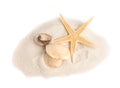 Pile of beach sand with beautiful starfish and sea on white background, above view
