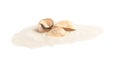 Pile of beach sand with sea shells on white Royalty Free Stock Photo