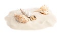 Pile of beach sand with sea shells on  background Royalty Free Stock Photo