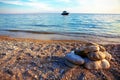 Pile of beach stones Royalty Free Stock Photo