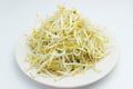 Pile of mung bean sprouts isolated on white background