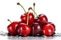 Pile of beautiful red cherries with water drops on white background Royalty Free Stock Photo