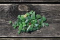 Pile of beautiful sea glass collected from a beach on weathered wooden planks Royalty Free Stock Photo