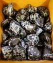 A pile of beautiful white and black Snowflake Obsidian stones