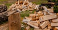A pile of birch firewood on the green grass. Split logs. Sawdust. Royalty Free Stock Photo