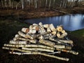 Pile of birch firewood near pond in early spring Royalty Free Stock Photo