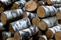 Pile of birch tree logs - lumbering, wood sledge, fire wood