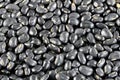 Pile black beans. Royalty Free Stock Photo