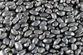 Pile black beans. Royalty Free Stock Photo