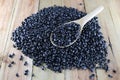 Pile black beans. Royalty Free Stock Photo