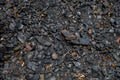 Pile of black coal on the ground as a background. Texture. Royalty Free Stock Photo