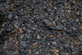 Pile of black coal on the ground as a background. Texture. Royalty Free Stock Photo