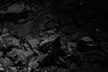 Pile of black coal for texture Royalty Free Stock Photo