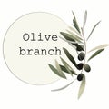 Pile of black olives with leaves, olive branch on isolated background Royalty Free Stock Photo